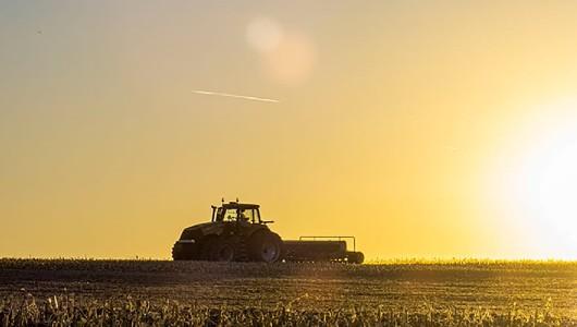 field and sunset
