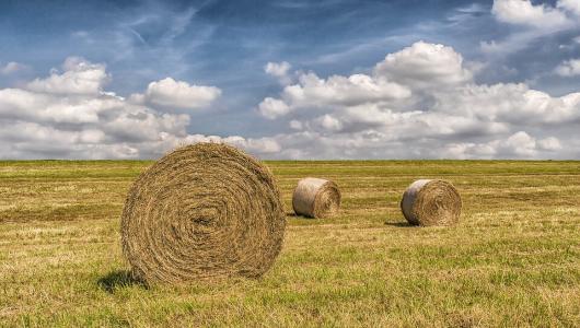 Rolled hay bail on hay field under partly cloudy sky