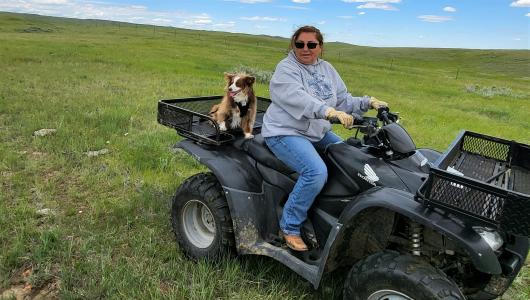 Person and dog on four-wheel motorcycle riding in rolling hills