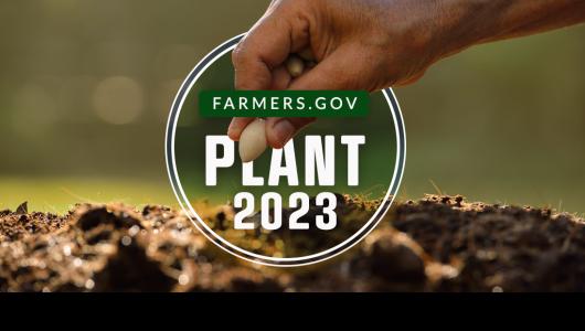 Plant 2023 Image