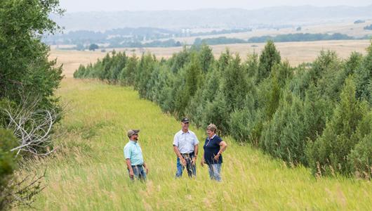 Three people standing in field