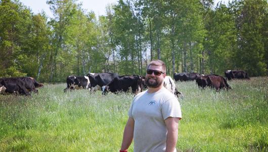 Person standing in front of cattle on lush green grass