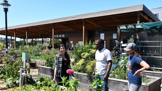 Three people standing on pathway within an elevated garden