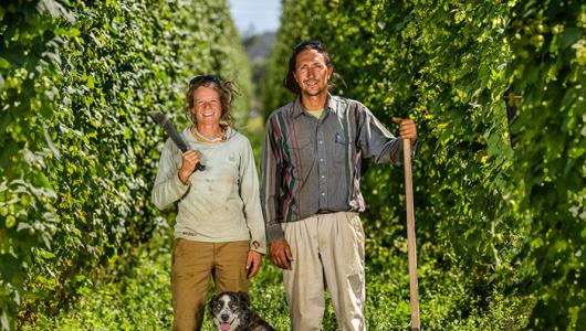 Two people standing amongst vines