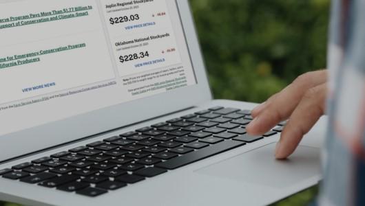 Laptop computer screen showing links and numbers