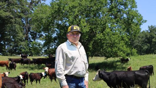 Person standing in a pasture