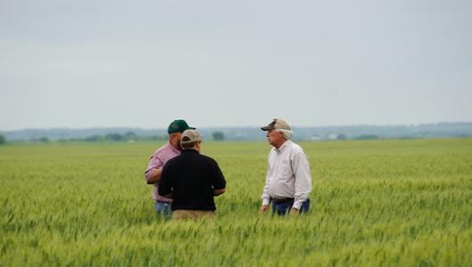 Two people kneeling in a field