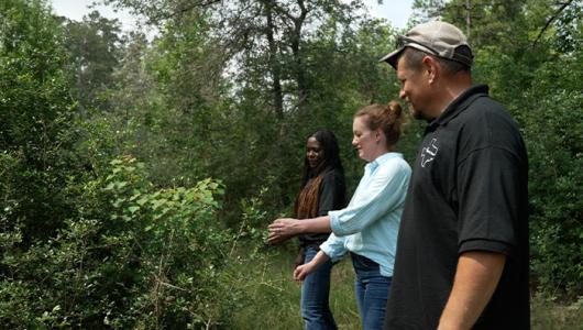 Three people inspecting a bush