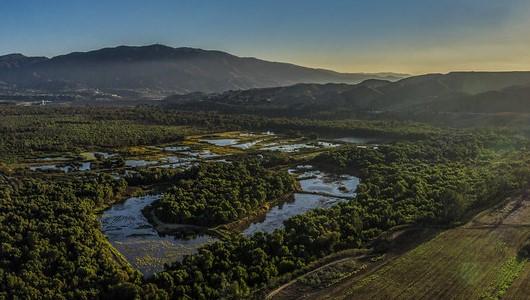 Sunrise over marshland