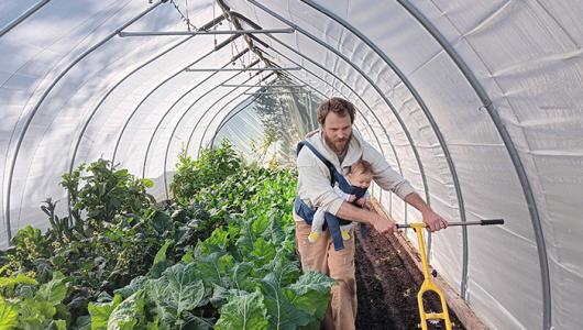 Person in a high tunnel with plants