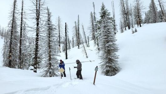 Two people in the snow