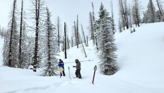 Ask the Expert: Snow Survey and Water Supply Forecasting with Erin Whorton 