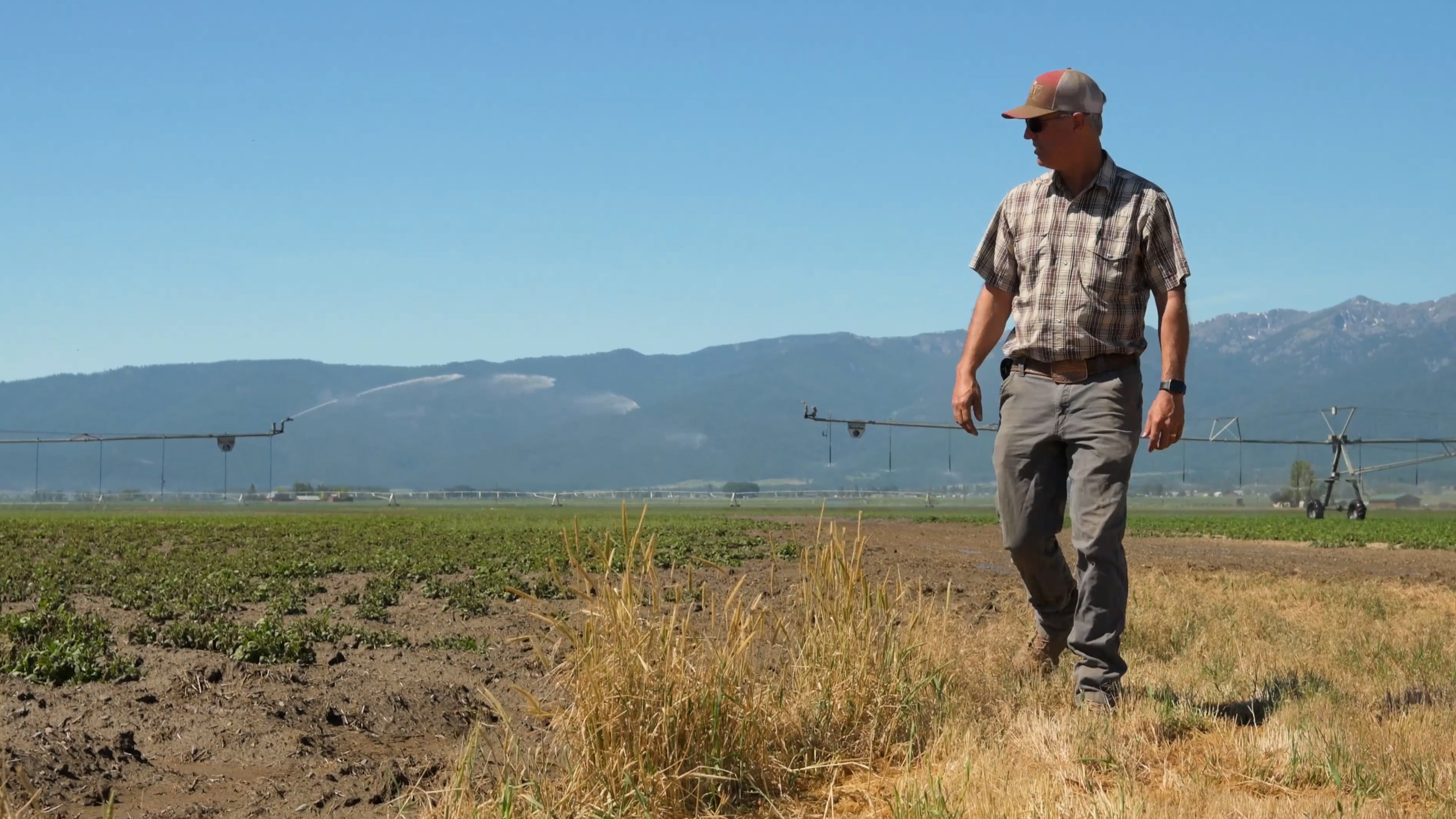 Farmer in field
