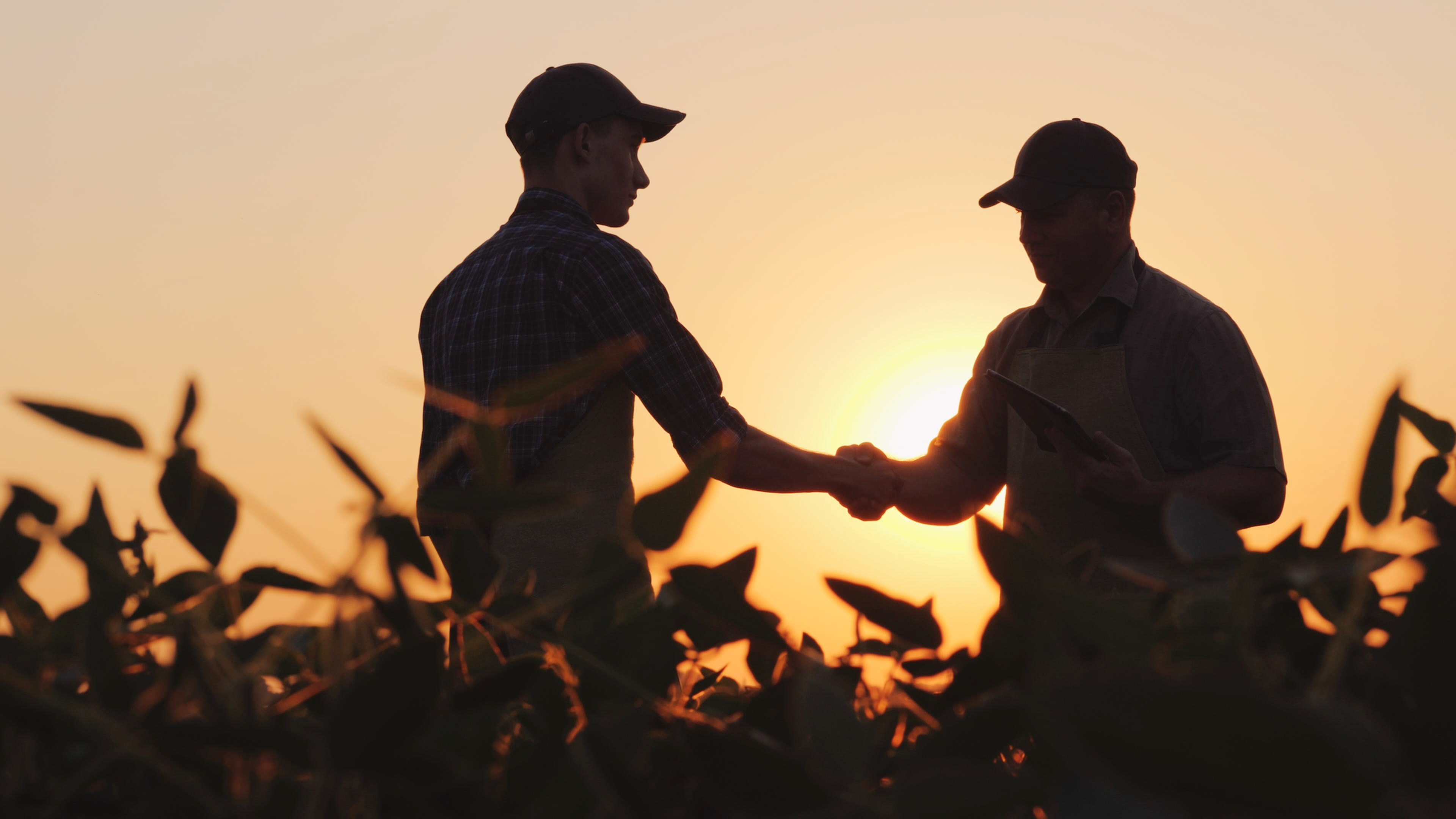 Two farmers shaking hands